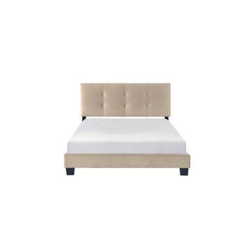 CAMA-FULL-Newberry-Collection